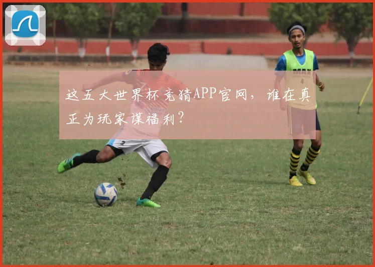 这五大世界杯竞猜APP官网，谁在真正为玩家谋福利？