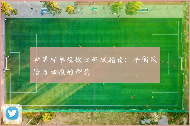 世界杯单场投注终极指南:平衡风险与回报的智慧