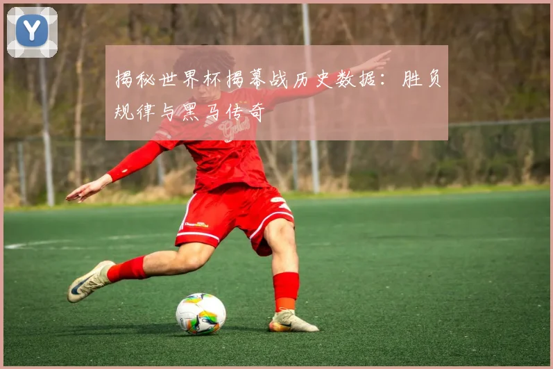 揭秘世界杯揭幕战历史数据:胜负规律与黑马传奇