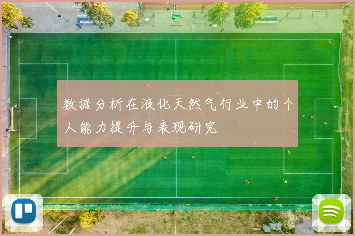 数据分析在液化天然气行业中的个人能力提升与表现研究