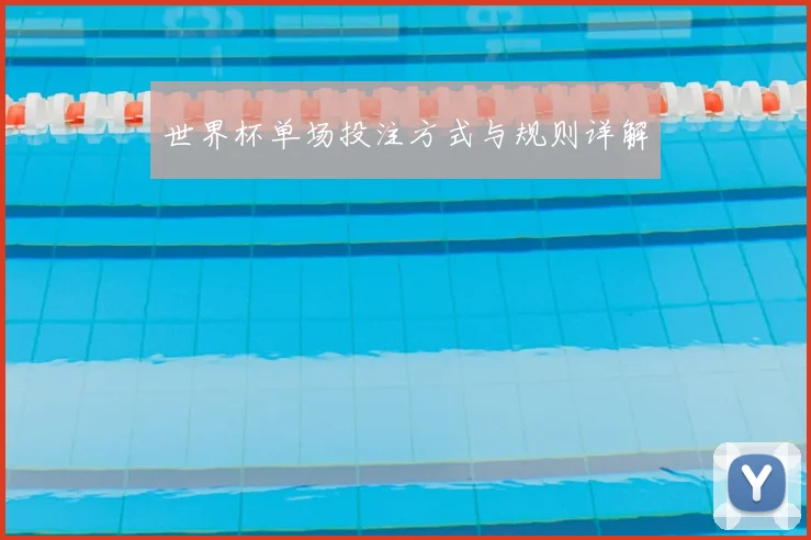 世界杯单场投注方式与规则详解