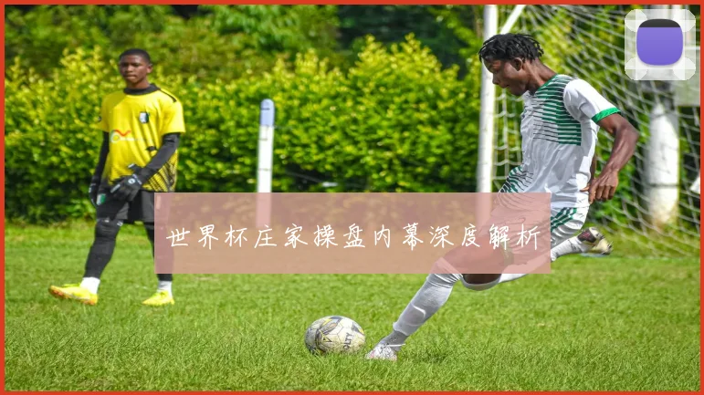 世界杯庄家操盘内幕深度解析
