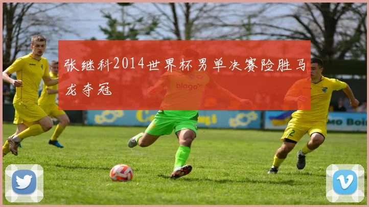 张继科2014世界杯男单决赛险胜马龙夺冠