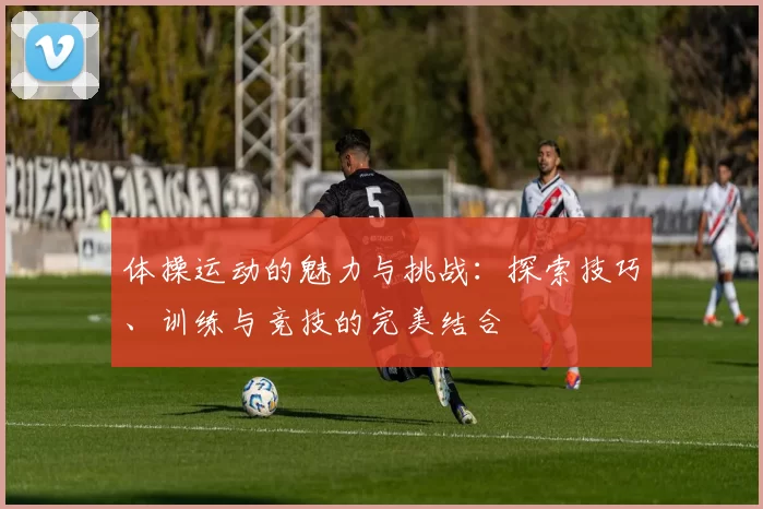 体操运动的魅力与挑战：探索技巧、训练与竞技的完美结合