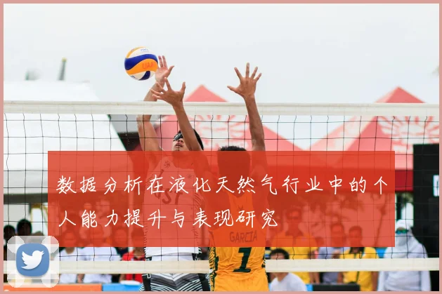 数据分析在液化天然气行业中的个人能力提升与表现研究