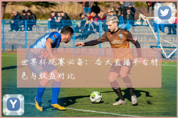 世界杯观赛必备：各大直播平台特色与权益对比
