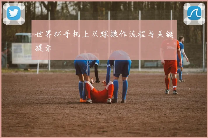 世界杯手机上买球操作流程与关键提示