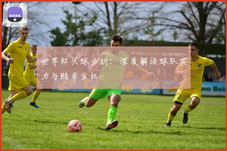 世界杯买球分析:深度解读球队实力与赔率玄机