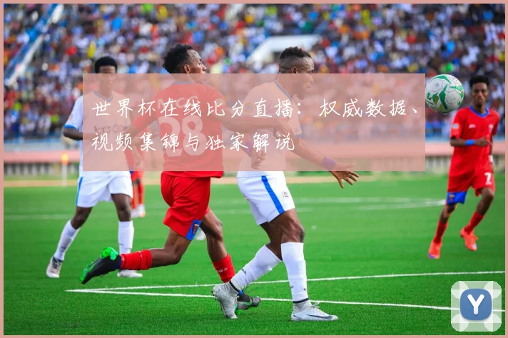 世界杯在线比分直播：权威数据、视频集锦与独家解说