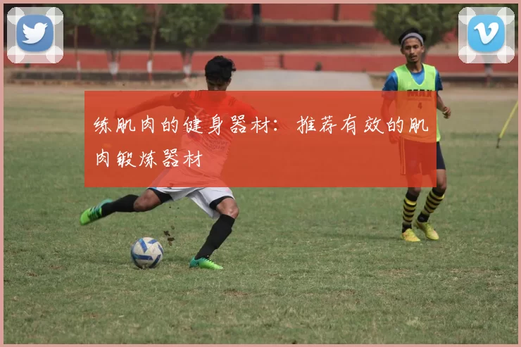 练肌肉的健身器材：推荐有效的肌肉锻炼器材