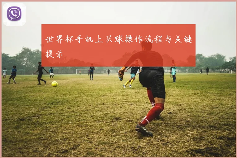 世界杯手机上买球操作流程与关键提示